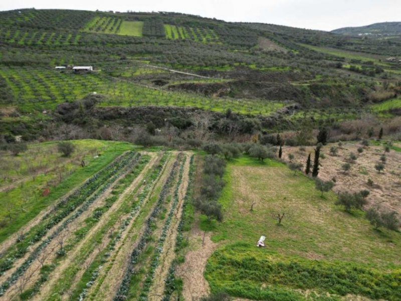 Agies Paraskies Kreta, Agies Paraskies: Großes Grundstück zu verkaufen Grundstück kaufen